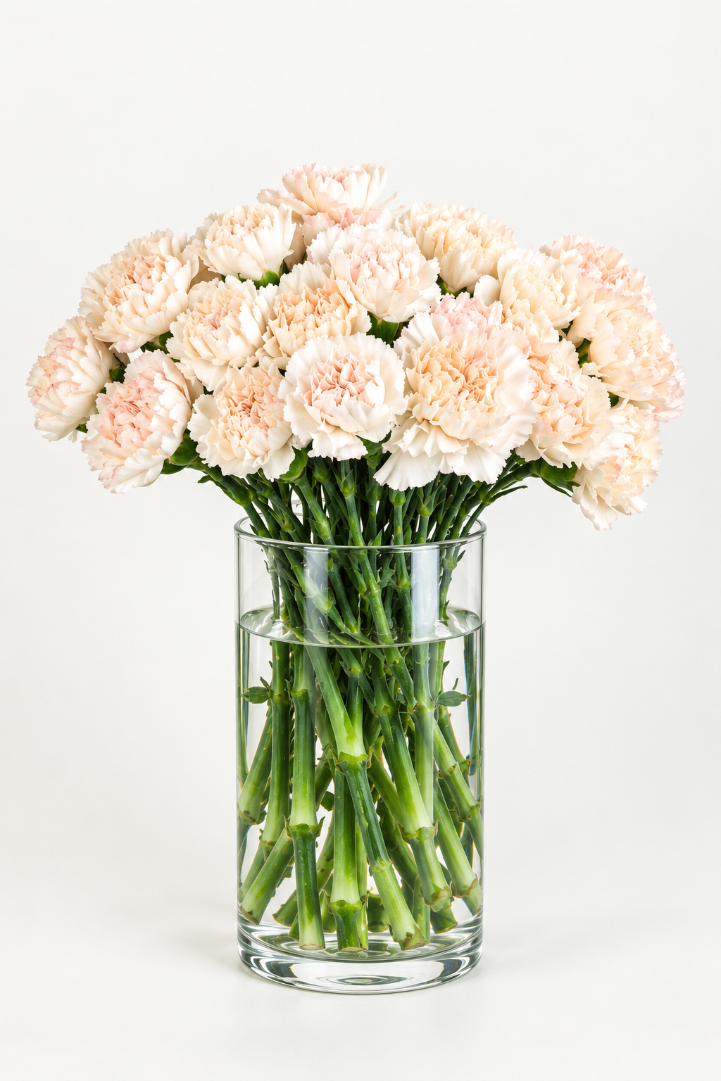 Carnation Peach Apple Tea