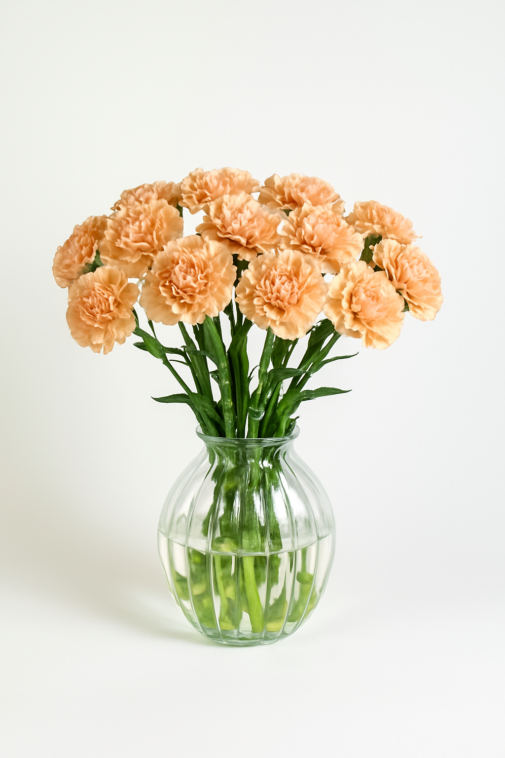 Carnation Peach Apple Tea