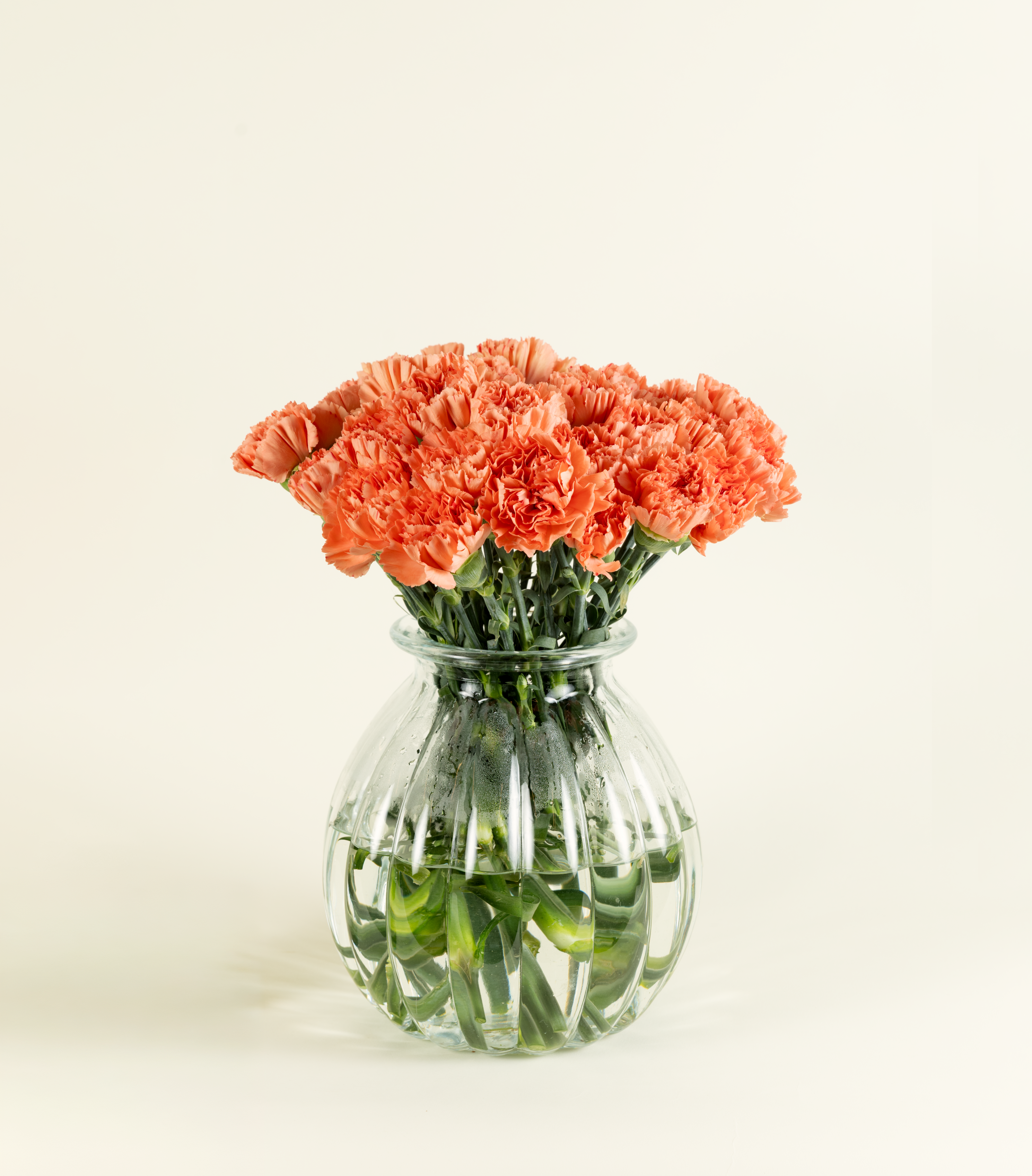 Carnation Orange Tamarind