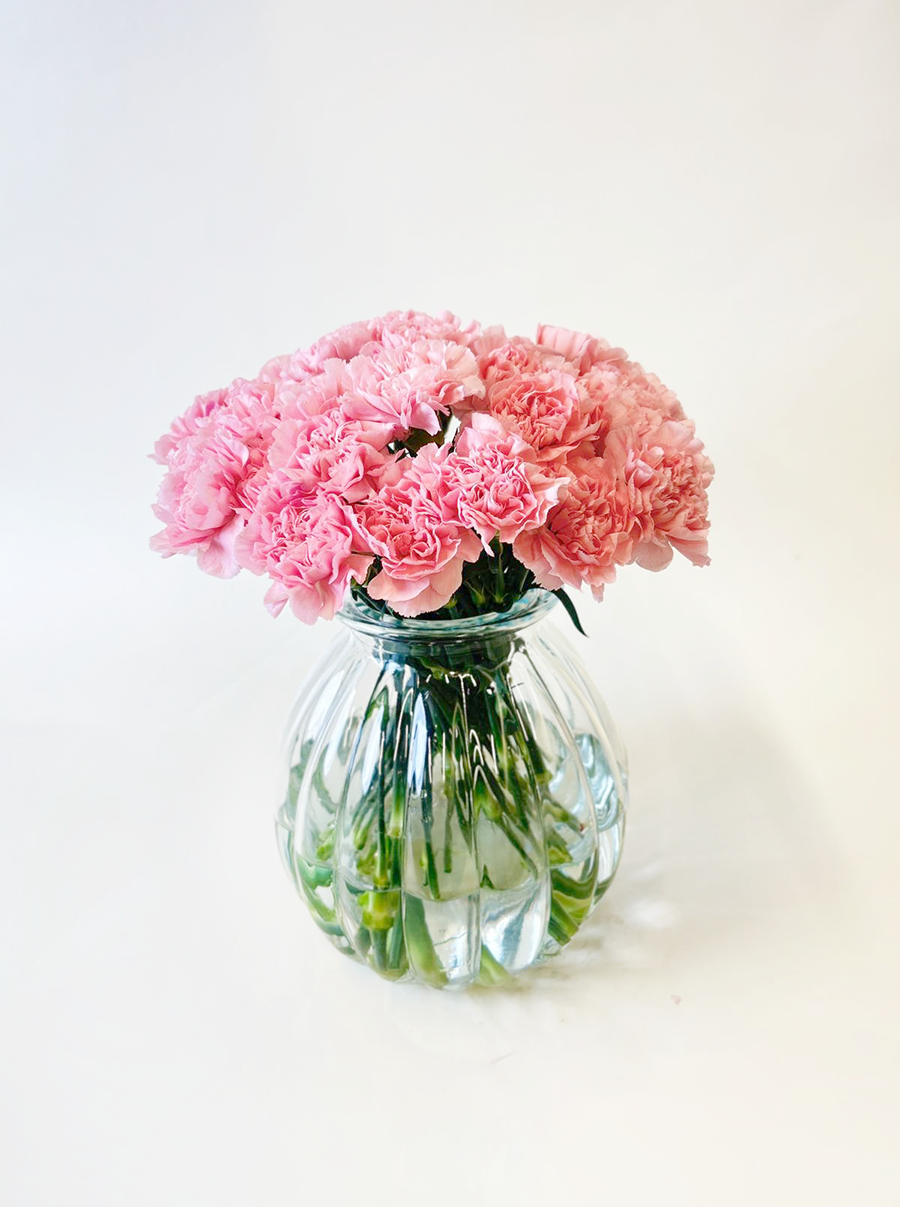 Carnation Pink Montezuma