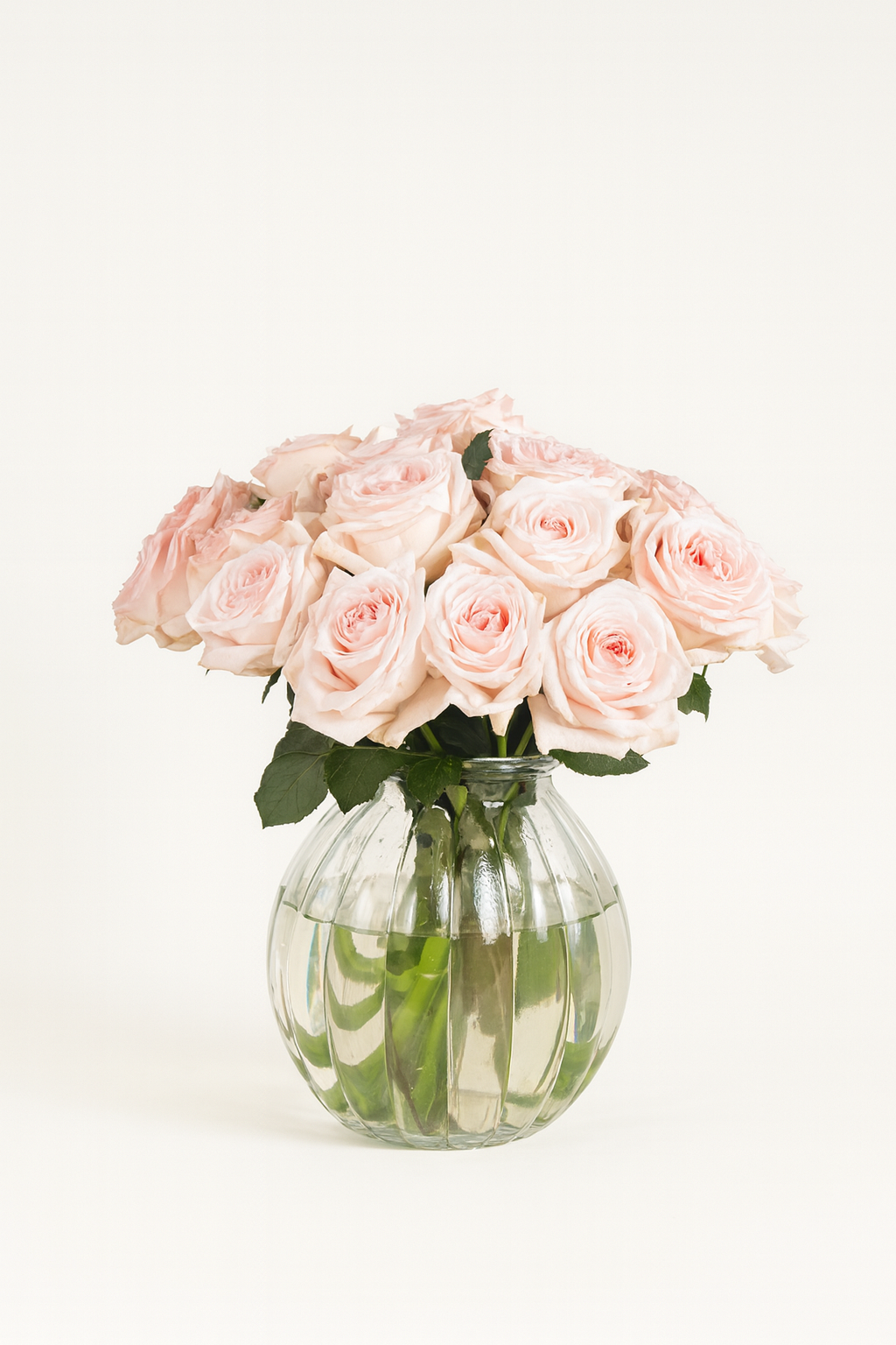 Garden Roses Pink Ohara