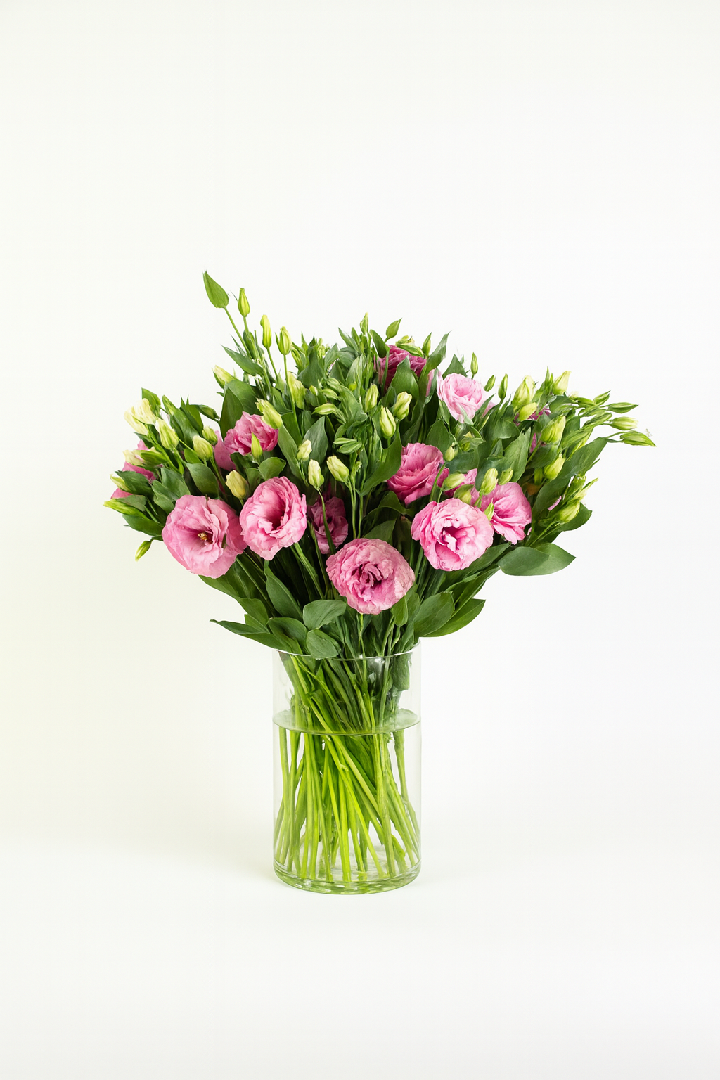 Lisianthus Deep Pink