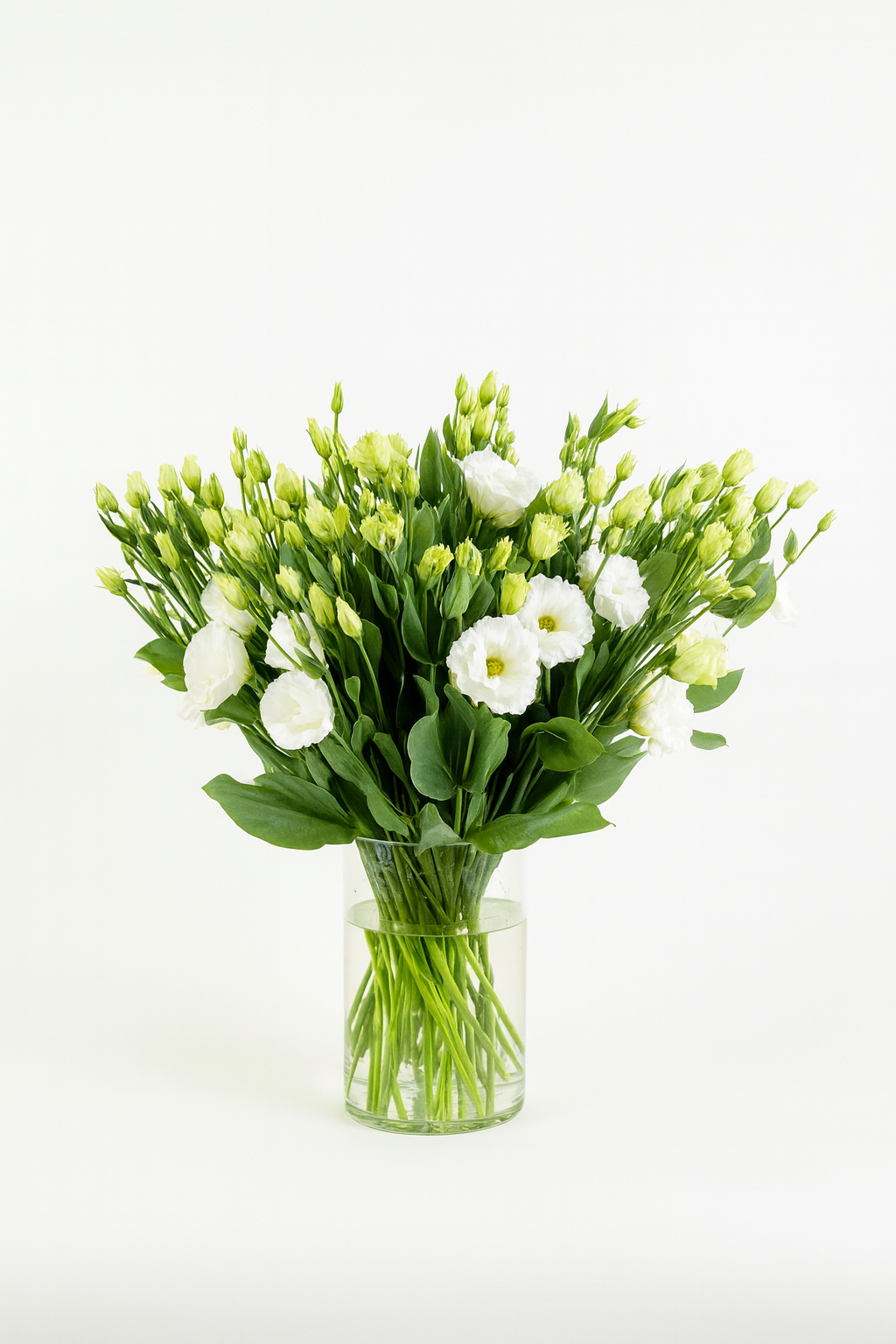 Lisianthus Lisanne White