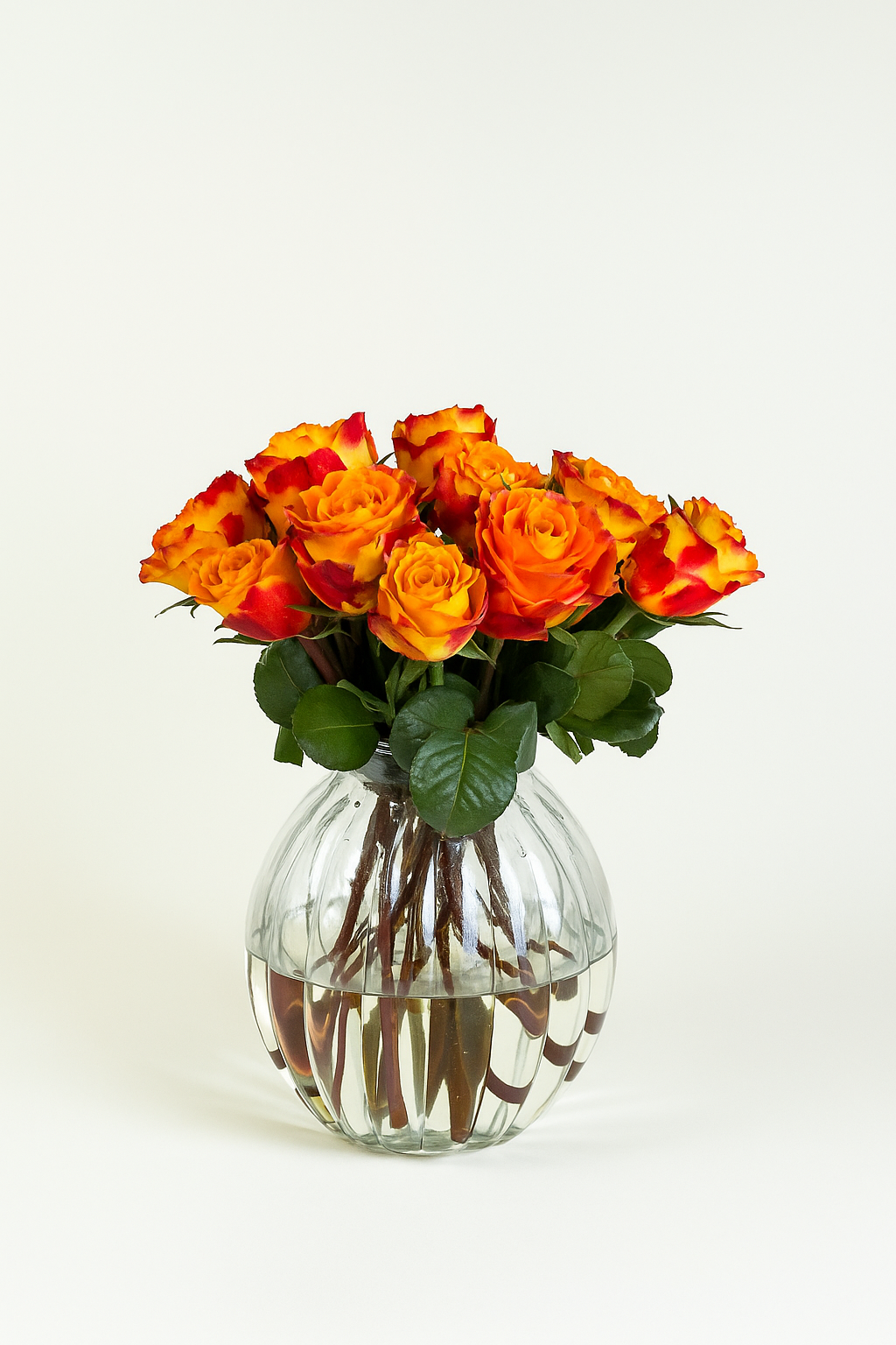 Mini Rose Bi-Colour Mariyo