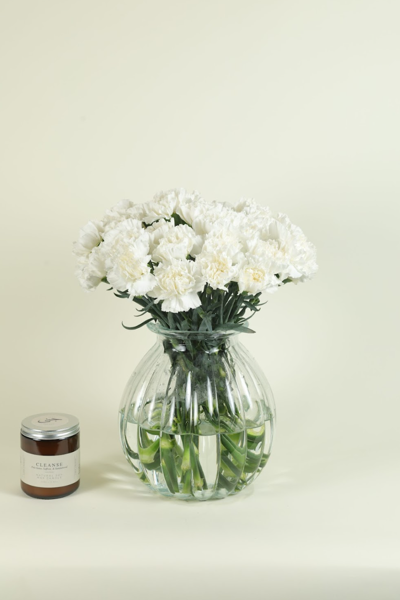 Carnation Montblanc White