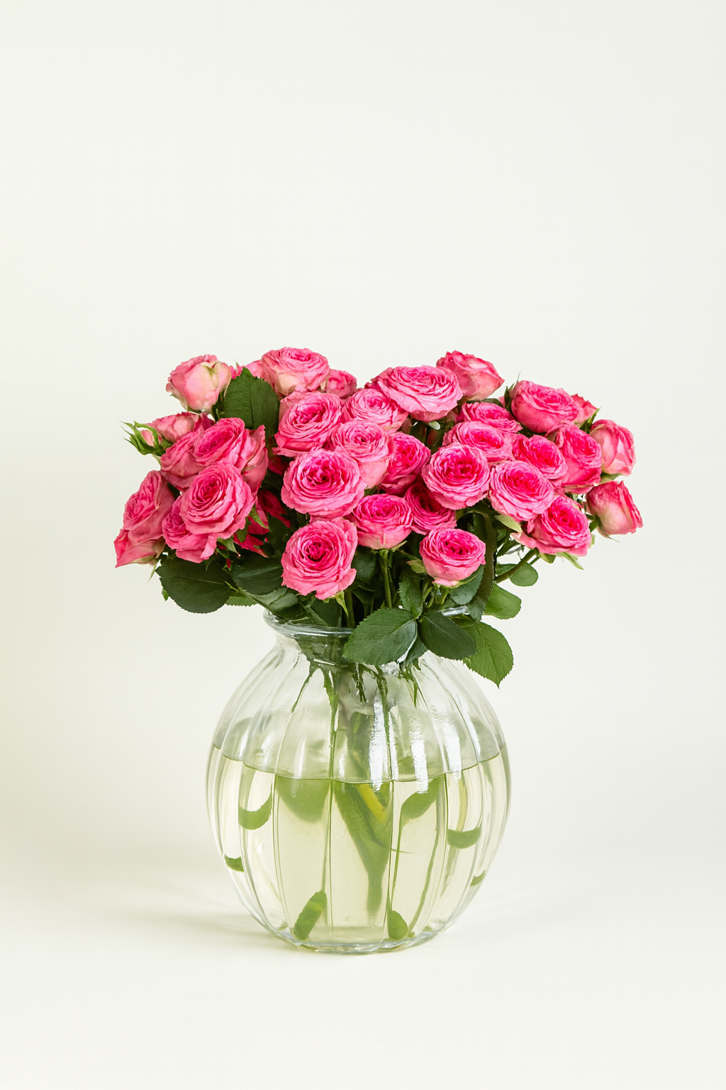 Spray Premium Rose Flavia