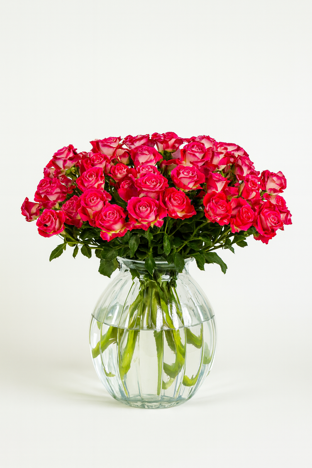 Spray Premium Rose Bala Bi-color