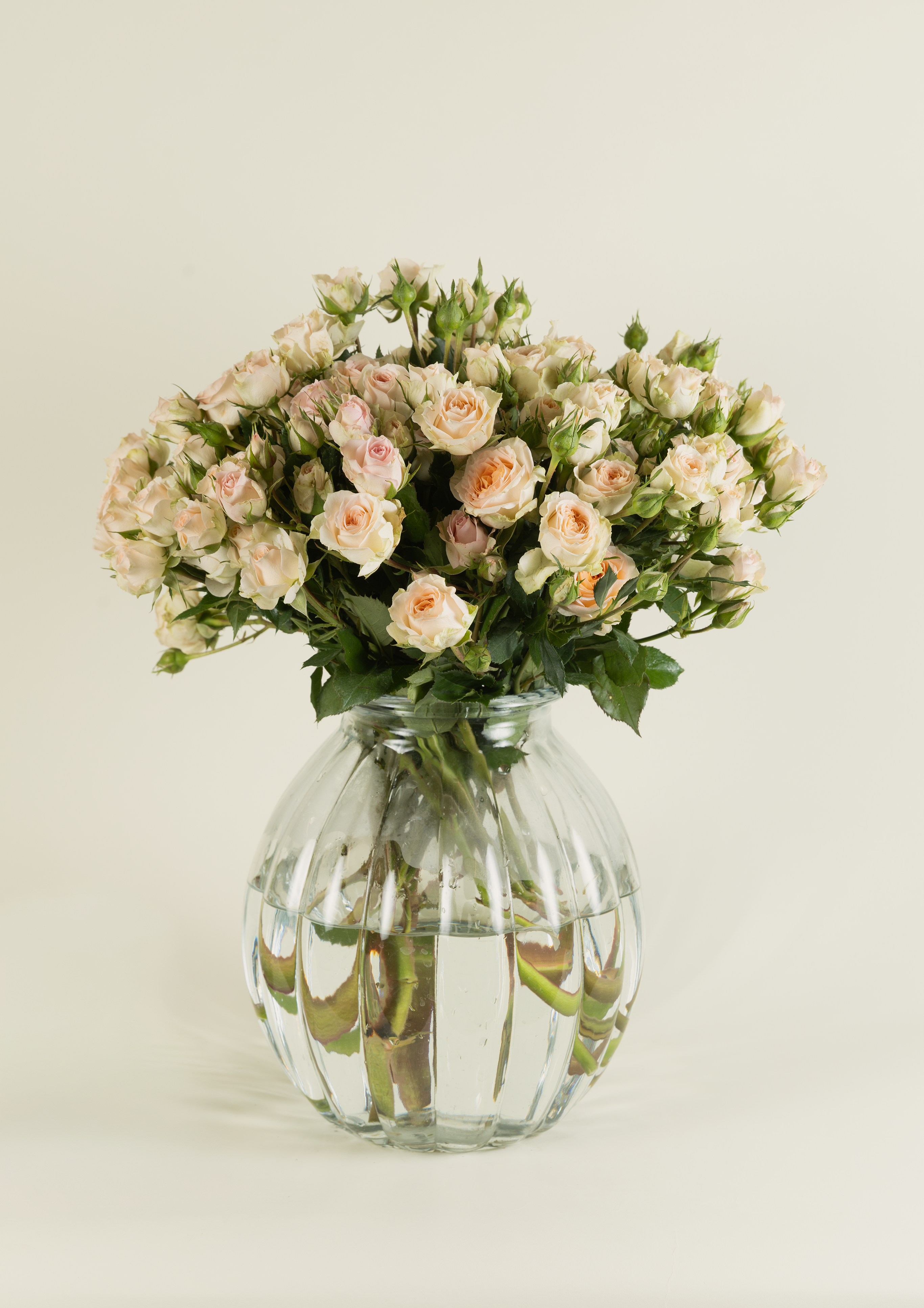 Spray Rose Peach Rosanella