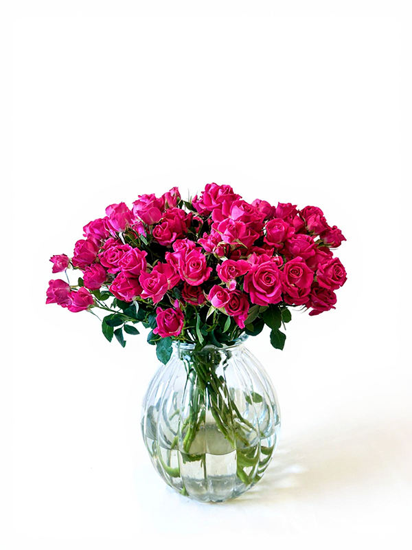 Spray Roses Pink Cerise Alicia