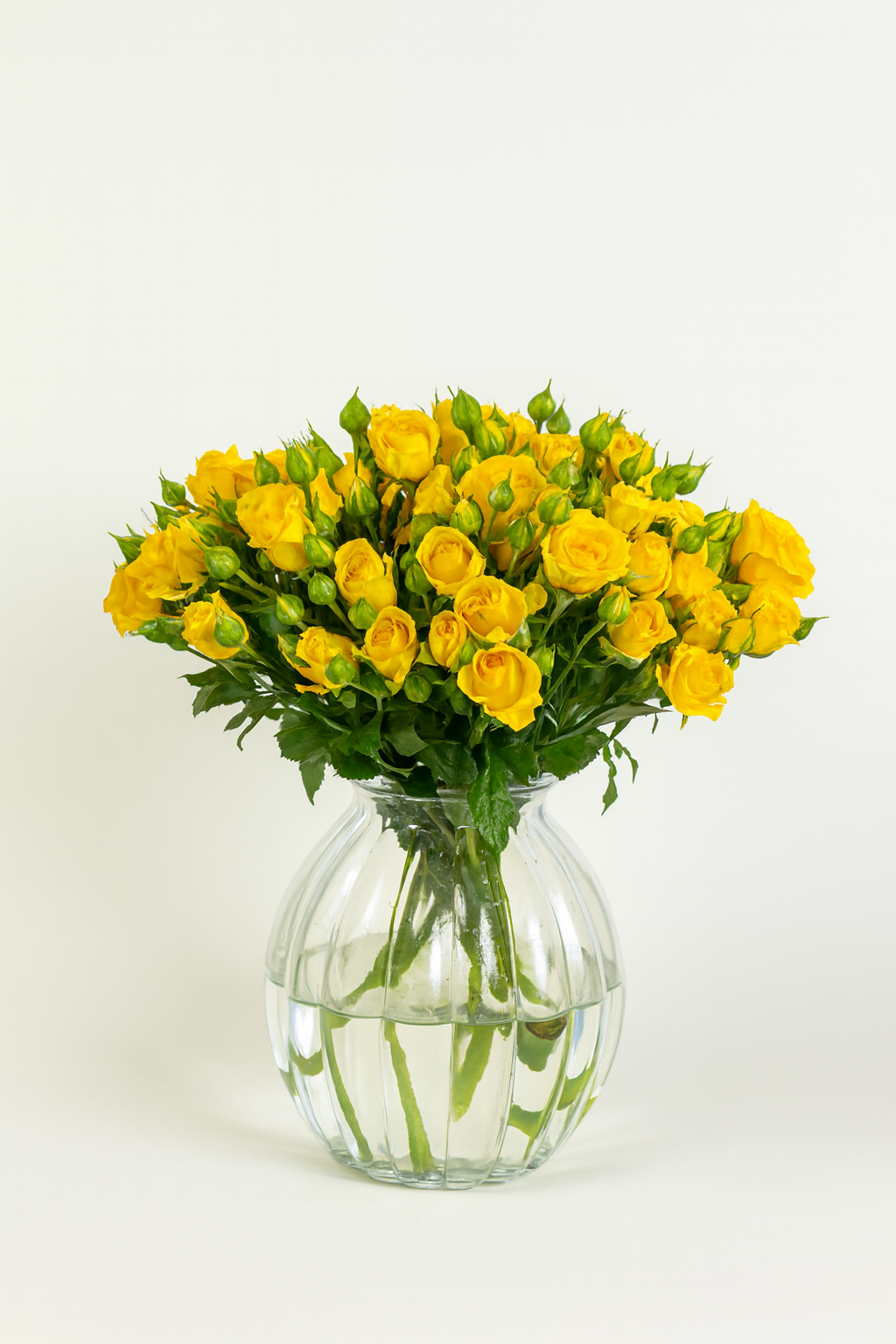 Spray Rose Yellow Marissa