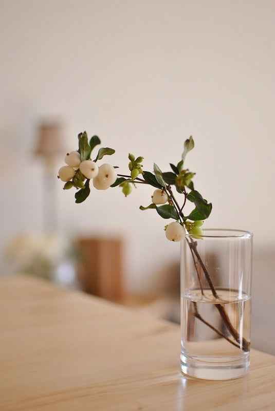 Symphoricarpos Magical Milky Way