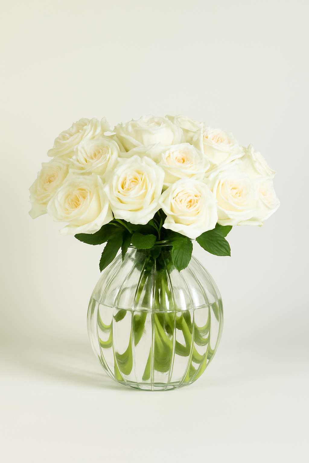 Garden Roses White Ohara