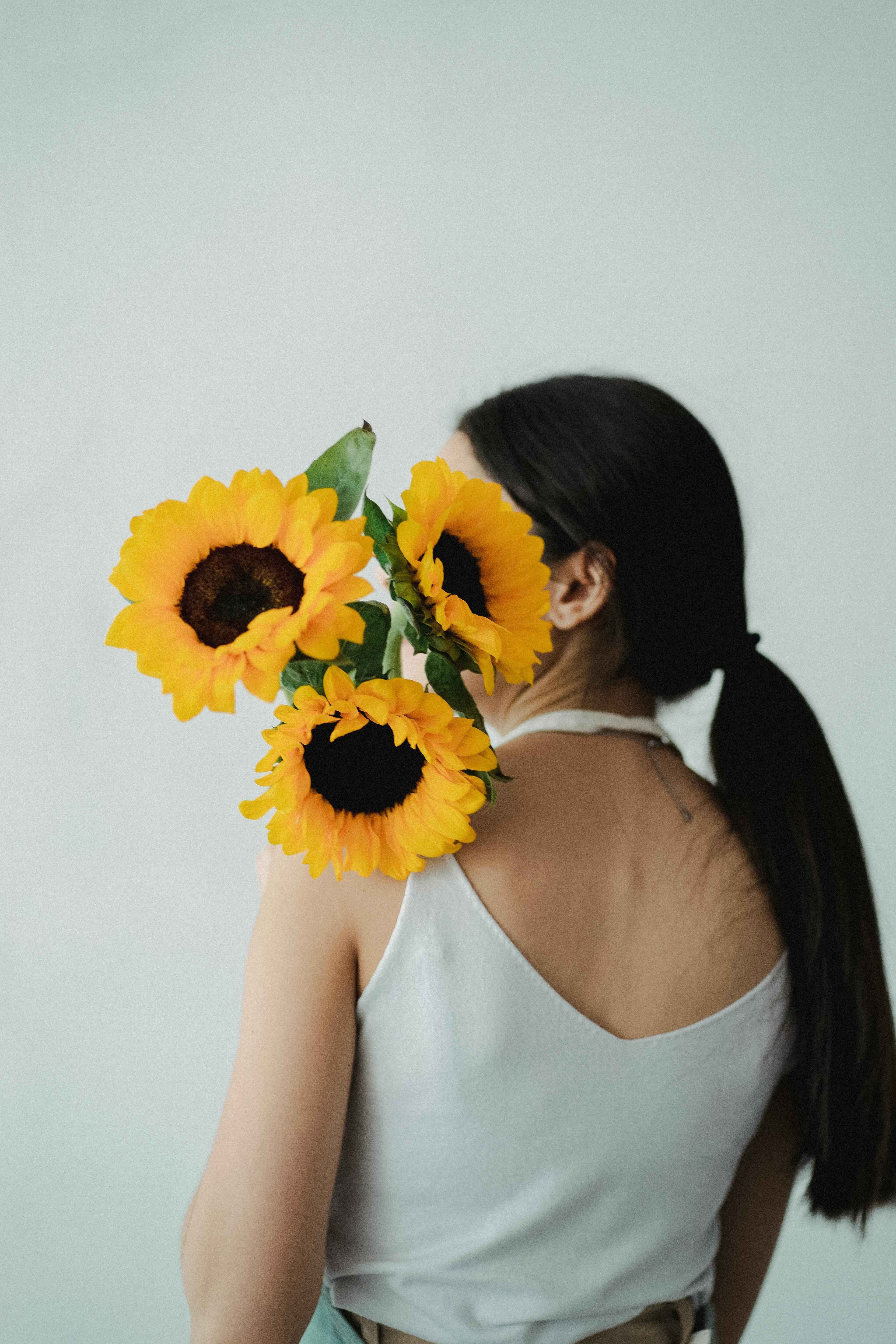 Sunflower Helianthus Sunrich Orange