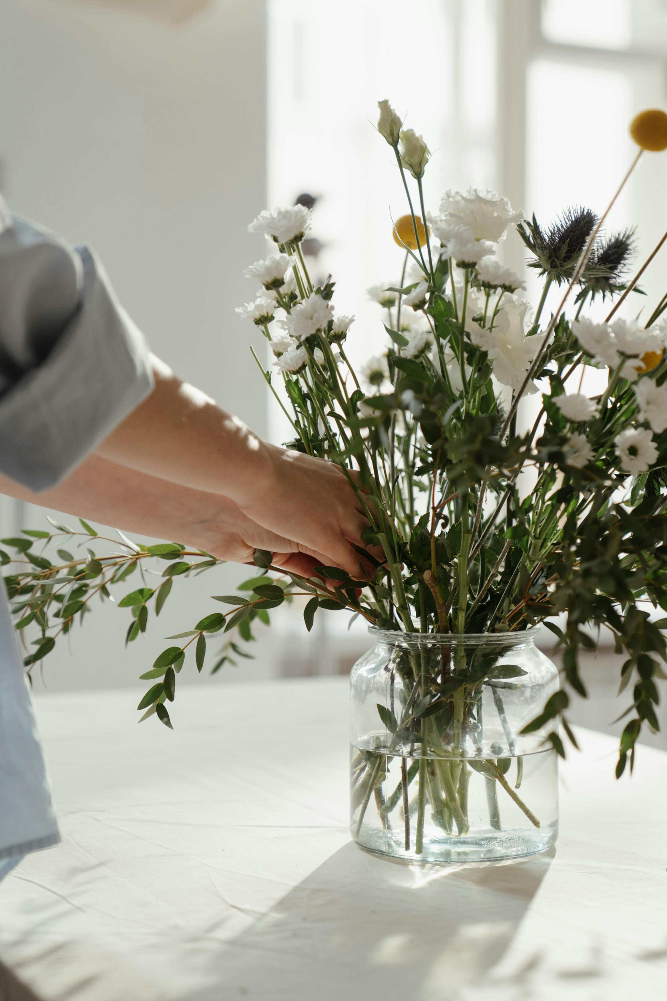 Chrysanthemum Pina Colada White